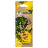 Pendentif parfum citron CADEAUX DE LA NATURE